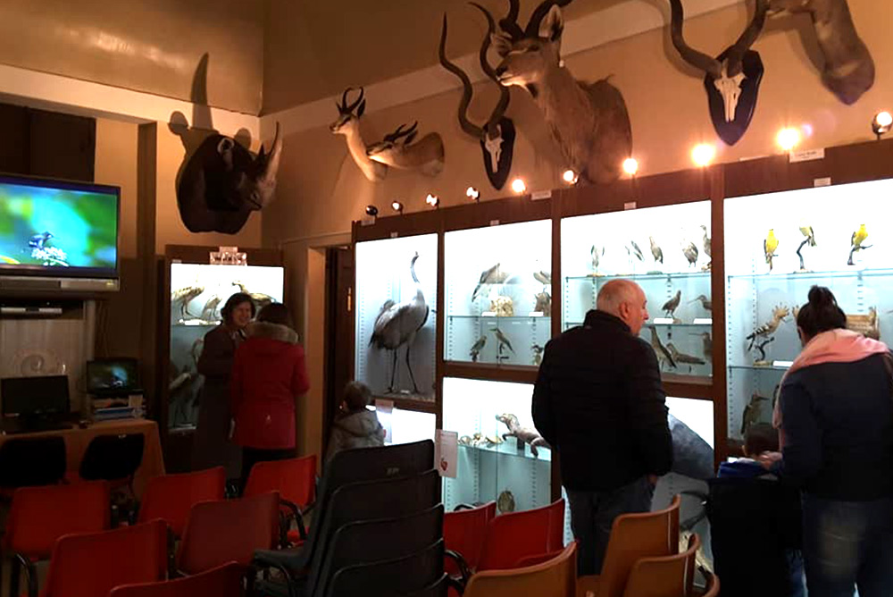 Museo Storia Naturale Macerata